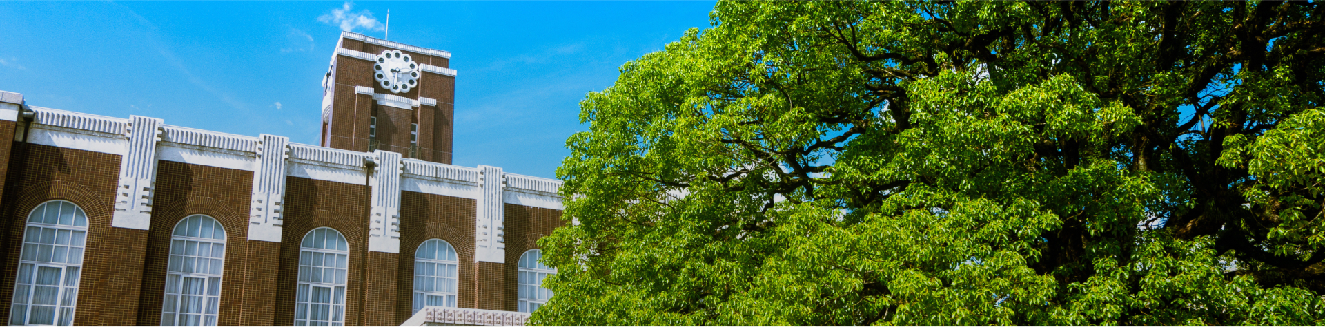 京大大学院の魅力の背景画像